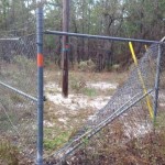"Legal" Camp Blanding back gate